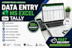 do accurate data entry, excel, tally and accountant