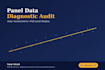 run a panel data econometrics diagnostic audit in stata