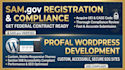 design a winning sam government contract website and capability statement