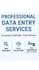 manual data entry, web research and excel tasks efficiently