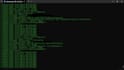 do bugfix appliction development