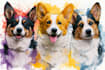 draw your pet in watercolor