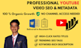 do youtube video SEO, optimization, and channel management
