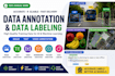 do professional data annotation and data labeling