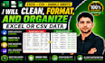 do data cleaning, formatting and organize excel or CSV data