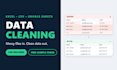 do professional data cleaning