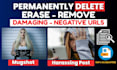 remove mugshots delete negative links, erase bad articles false news from google