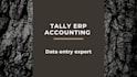 accurate tally erp accounting and data entry services