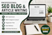 write SEO blog articles