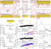 do gromacs molecular dynamics MD simulation