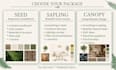 create a biophilic moodboard
