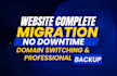 migrate website, transfer domain, fix migration issues, website customization