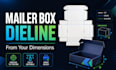 create custom mailer box dieline from dimensions, subscription box template