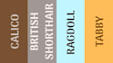 edit engaging short form infographic and comparison videos