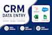 do CRM data entry, database update and data management