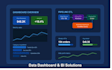 create a professional data dashboards