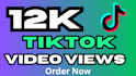 add 12k tiktok video views