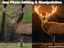do photo editing, photo manipulation and ai image editing