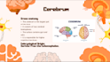 make professional medial presentations for both students and teachers