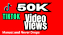 add organic 100k tik tok video views