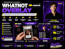 design a professional whatnot stream overlay for live auctions