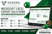 solve microsoft excel tasks, dashboards, formulas, vba and data analysis