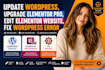 update wordpress upgrade elementor pro, edit elementor website fix website error