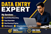do professional data entry and web research