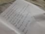 write anything with my authentic natural handwriting