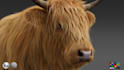 create aaa quality 3d animal characters with realistic fur in ue5