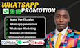 send bulk whatsapp messages for business promotion