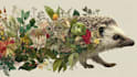 draw an animal and botanical illustration