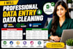 professional data entry and data cleaning