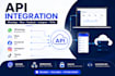 integrate whatsapp business API, meta API, facebook, instagram and tiktok API