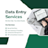 professional excel data entry and spreadsheet management