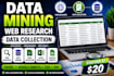 do web research, data mining, data collection and excel data entry