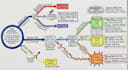 turn your notes into infographics
