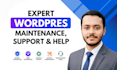 provide expert wordpress maintenance, support and help