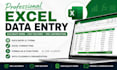 do professional microsoft excel data entry and formatting
