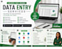do accurate data entry, excel, copy paste and web research
