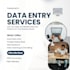 do professionl data entry
