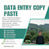 do fast and accurate data entry
