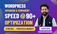 speed up and optimize your wordpress website for gtmetrix and pagespeed