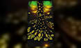 create psychedelic ai music videos and reactive visuals