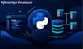 build a custom python web application