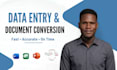 do data entry, document conversion, and spreadsheet cleanup