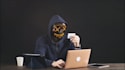 professional analyze crypto wallet transactions and blockchain activity securely
