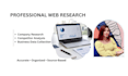 do professional web research and business data collection