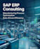 provide sap erp consulting and production process mapping