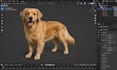 create realistic 3d pet animal sculpt creature model for 3d printing and games